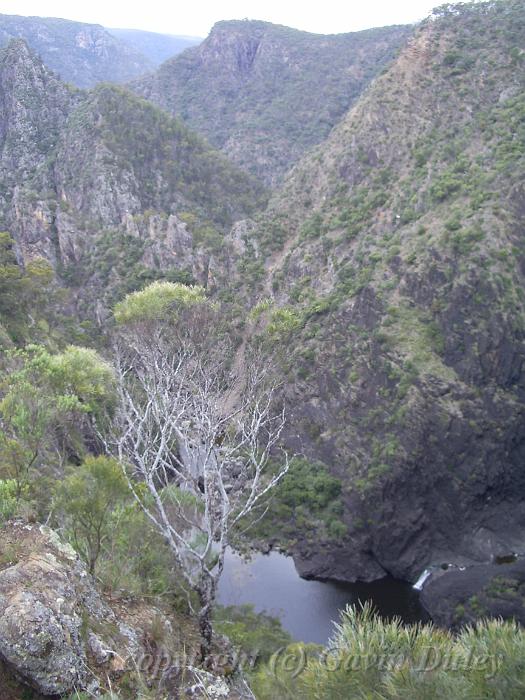 Gorge, Dangar Falls IMGP0724.JPG